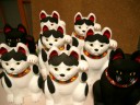 我が家の招き猫大集合